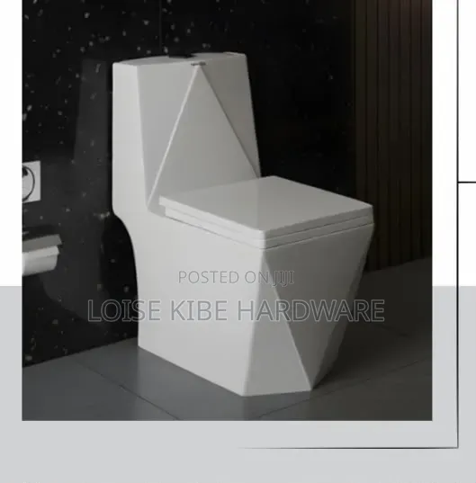 029 Full Seat Toilet Available