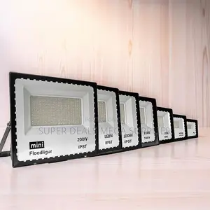 Brilliant Luminous 200w,100w,50w,30w Ac Electric Led Flood Light