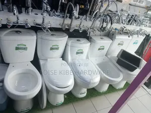 Pink Orient Toilet Available