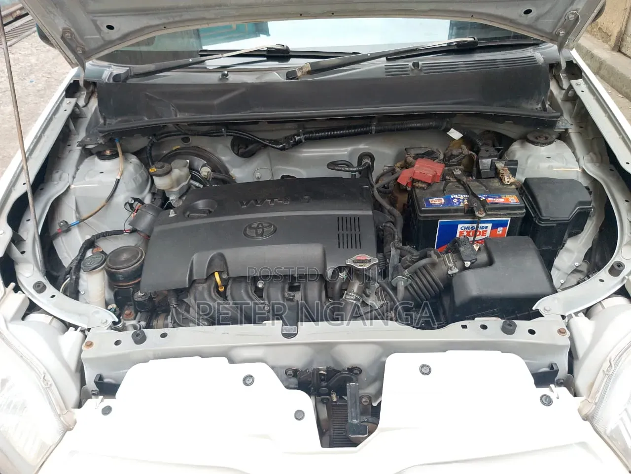 Toyota Probox 2015 White