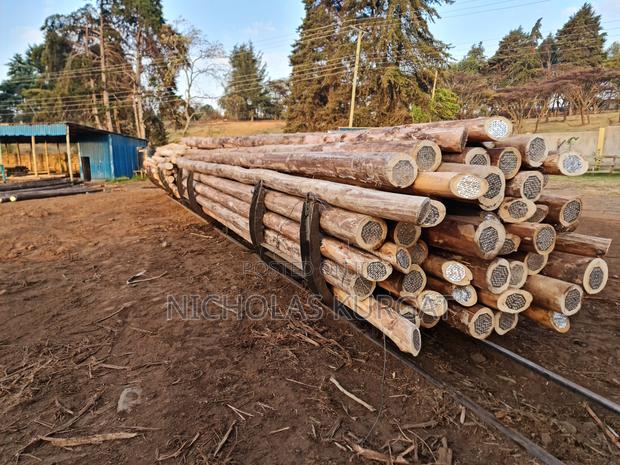 Treated Fencing Posts - thumbnail 3