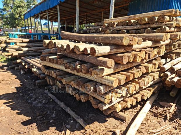 Treated Fencing Posts - thumbnail 4