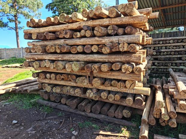 Treated Fencing Posts - thumbnail 6