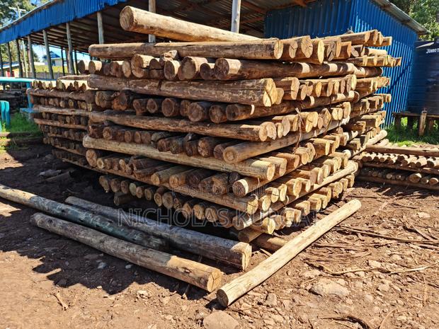 Treated Fencing Posts - thumbnail 8