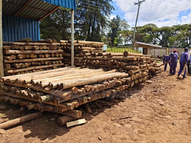 Treated Fencing Posts - thumbnail 7
