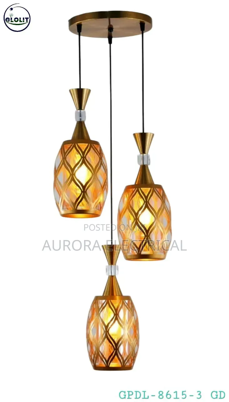 Hanging Pendant Light 3in 1