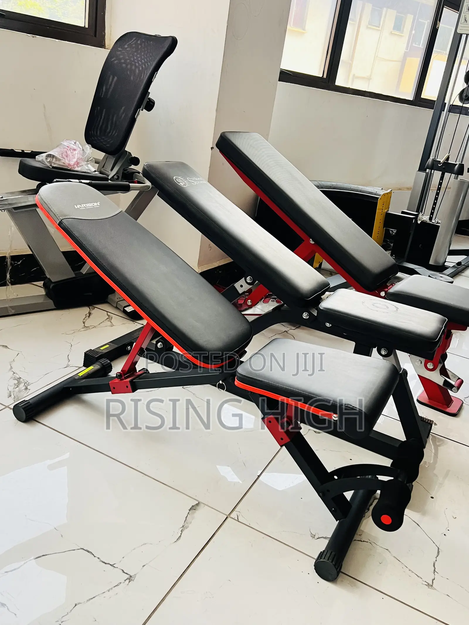 Kings : Premium Adjustable Weight Bench
