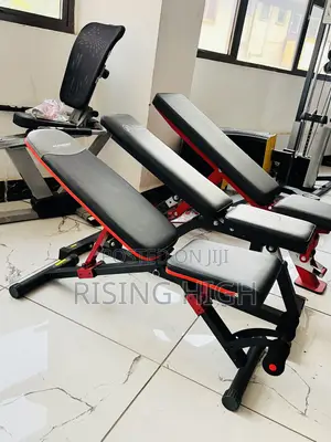 Kings : Premium Adjustable Weight Bench