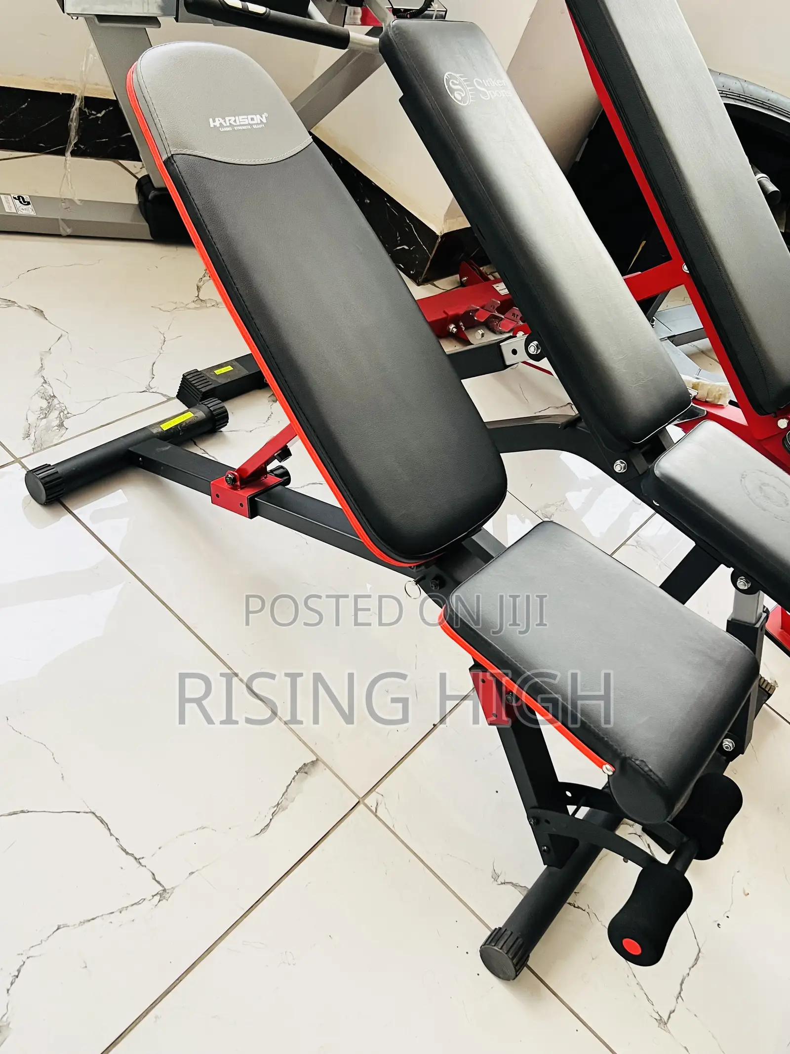 Kings : Premium Adjustable Weight Bench