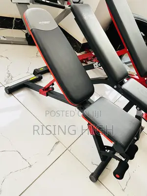 Kings : Premium Adjustable Weight Bench