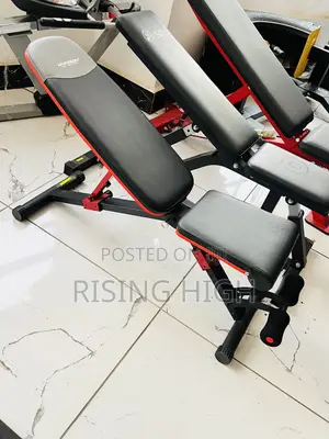 Heavy-Duty Gym Bench for Strength Training