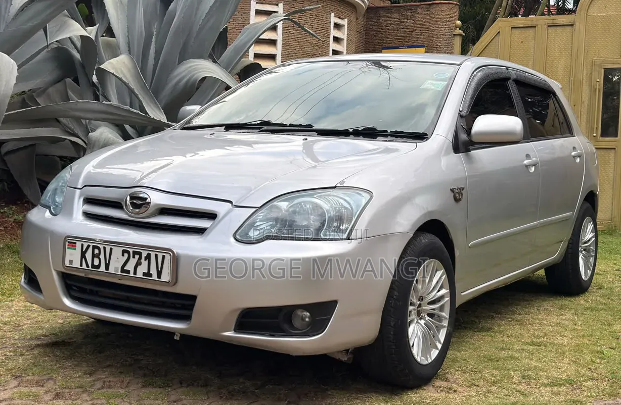 Toyota Corolla RunX 2006 Silver