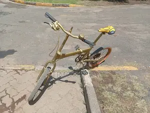 Birdy Classic Ex-uk Folding Bike