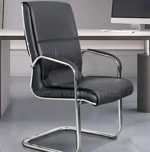 Ergonomic Modern Leather Sledbase Office Chair