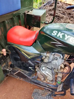 Skygo 2023 Green