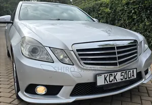 Mercedes-Benz E300 2009 Silver