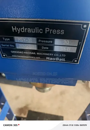 30t Hydraulic Press/Shop Press Machine