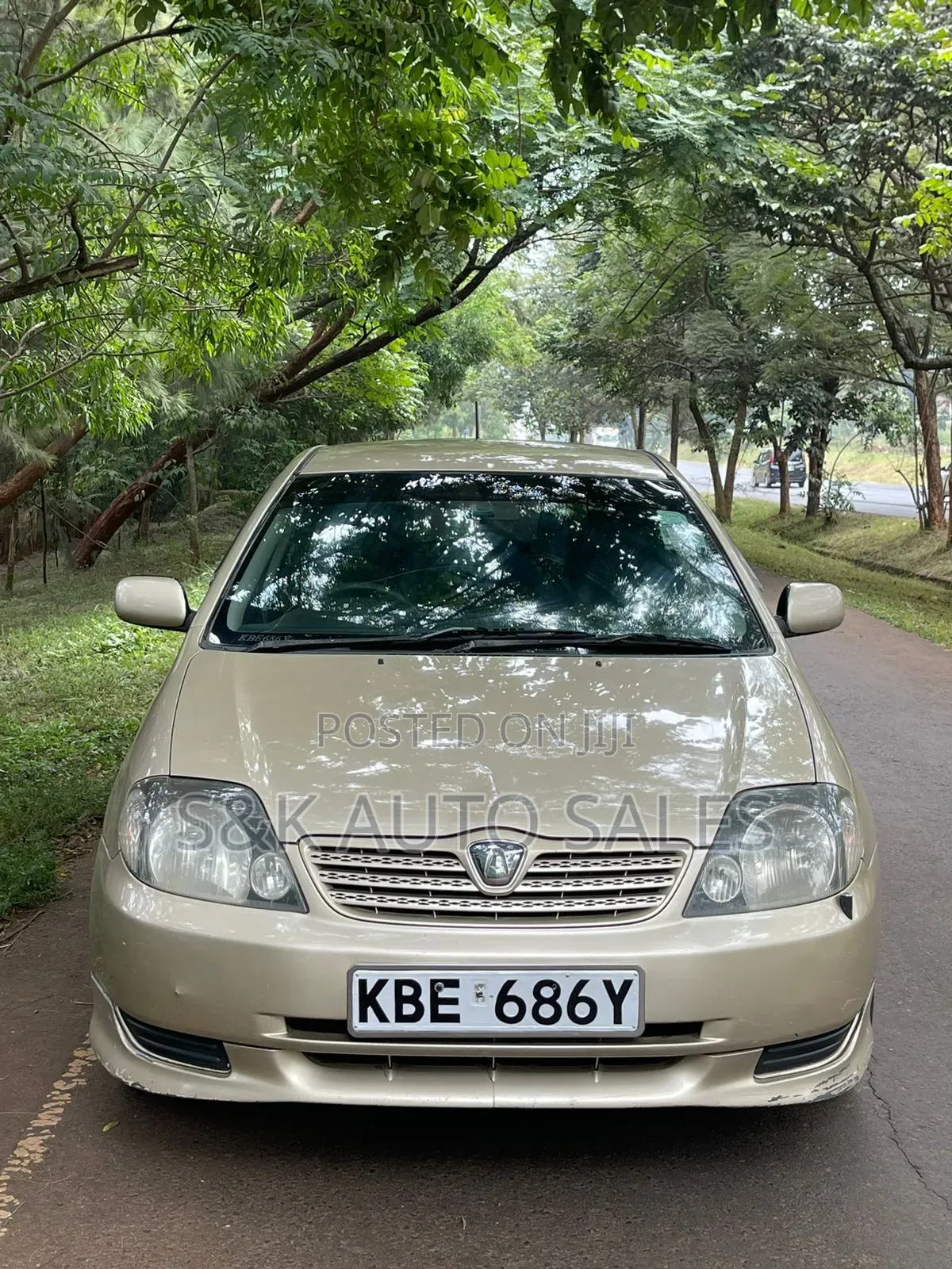 Toyota Allex 2002 Brown