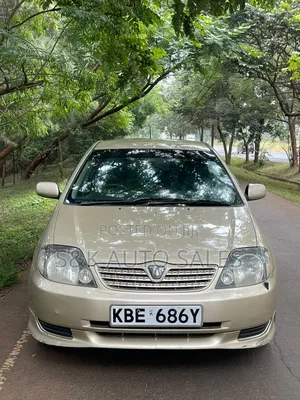 Toyota Allex 2002 Brown