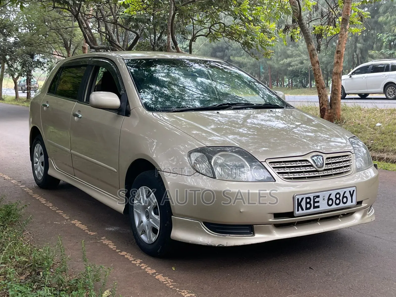 Toyota Allex 2002 Brown
