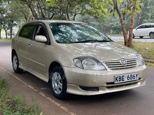 Toyota Allex 2002 Brown