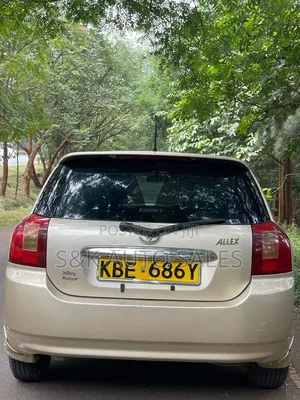 Toyota Allex 2002 Brown
