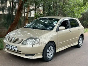 Toyota Allex 2002 Brown