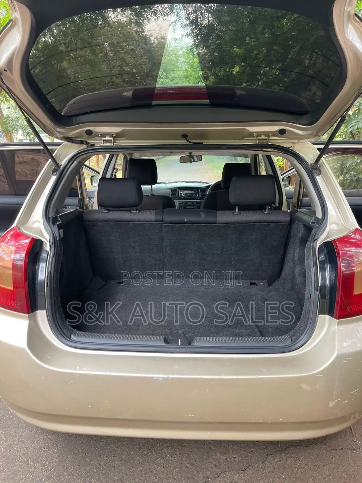 Toyota Allex 2002 Brown