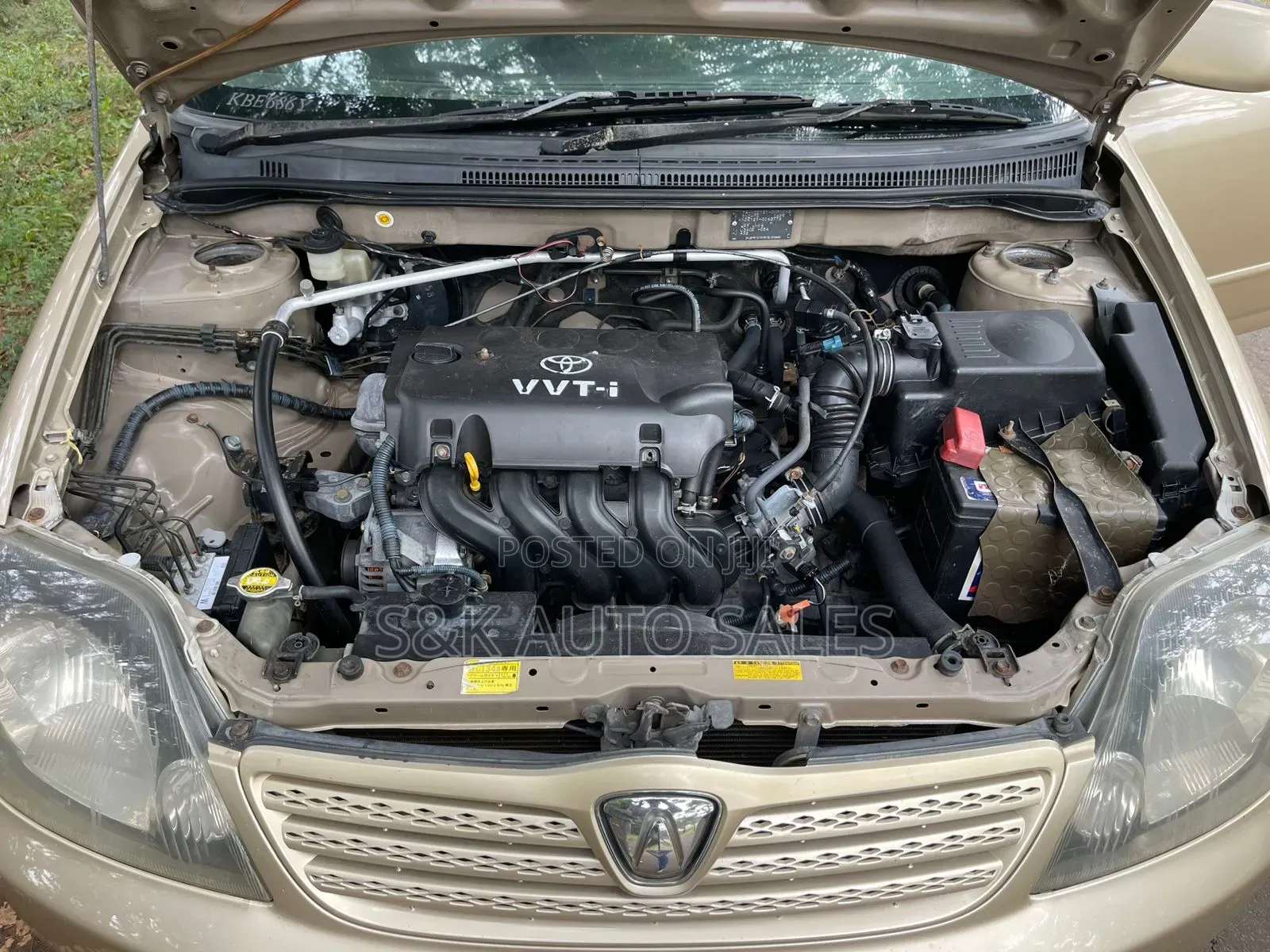 Toyota Allex 2002 Brown