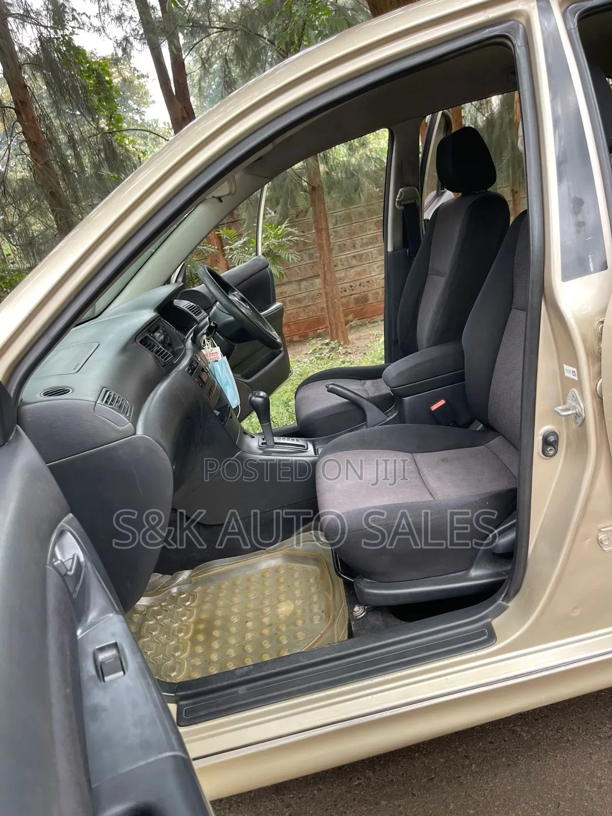 Toyota Allex 2002 Brown