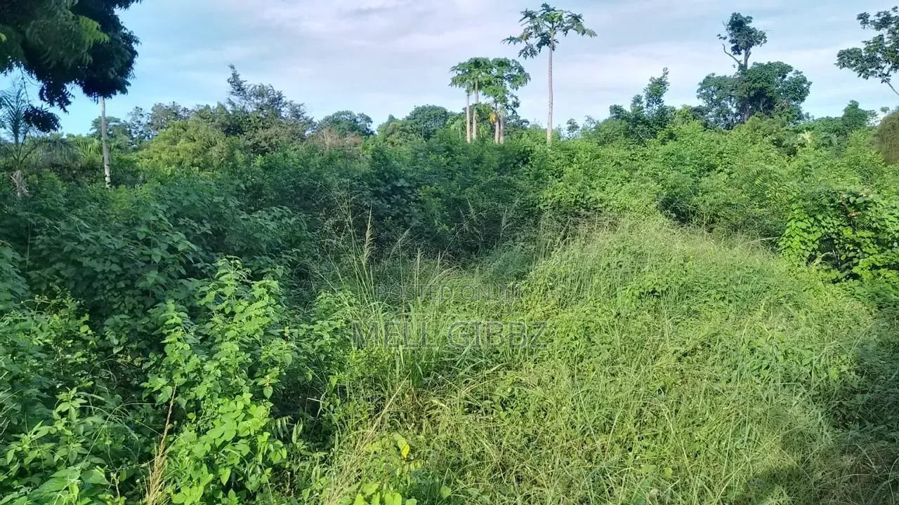 Land Mavueni