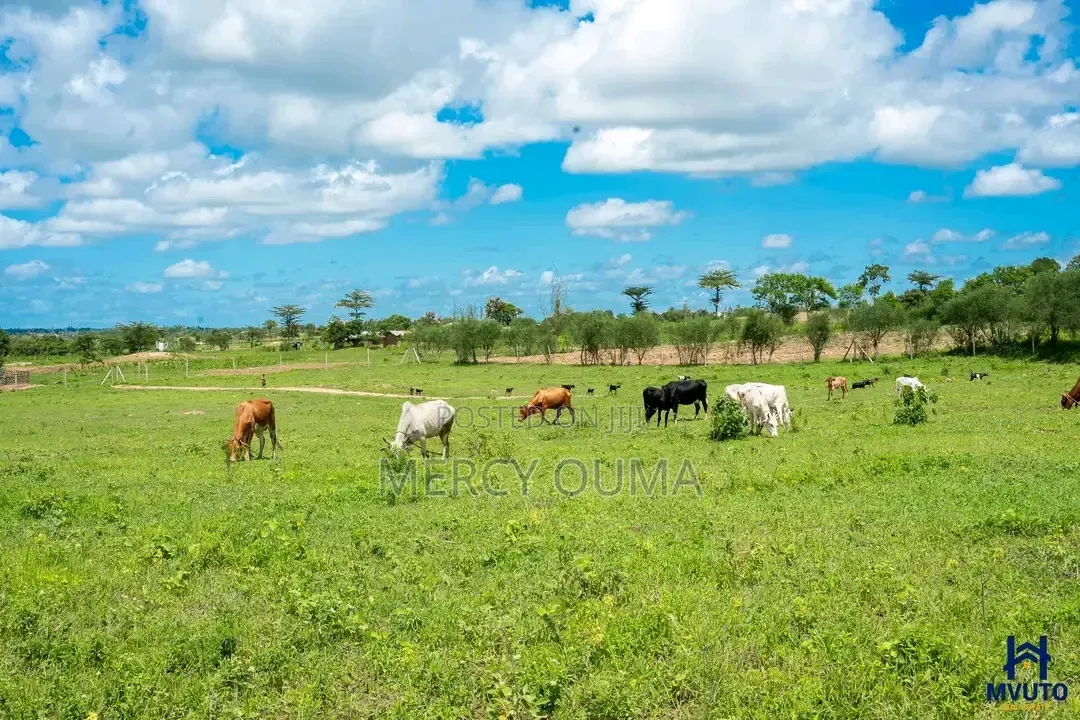 50 By 100 Units For Sale In Mariakani