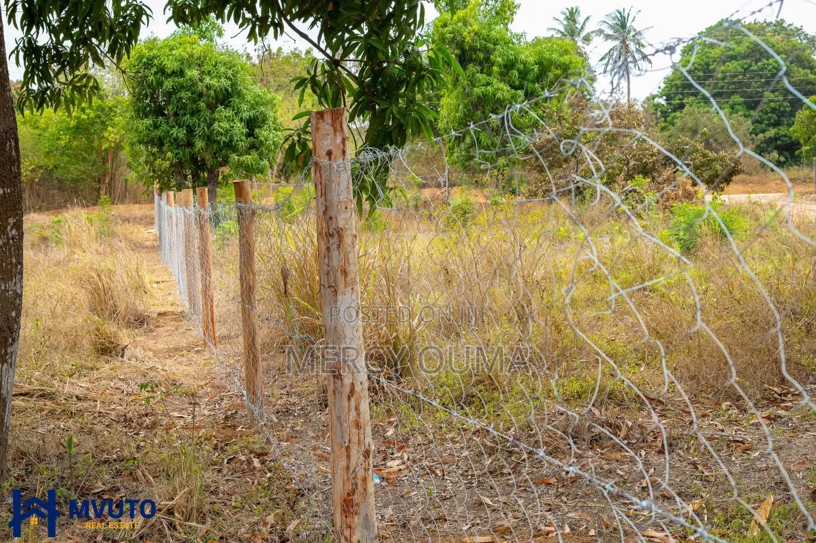 Kilifi / Mtwapa/Mtepeni Area