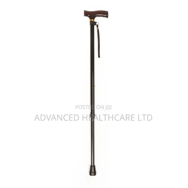 Walking Stick