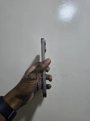 Apple iPhone 16 Pro Max 256 GB Silver