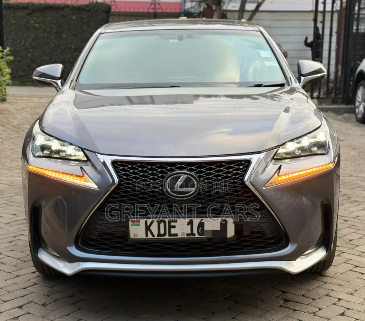 Lexus NX 2014 Gray
