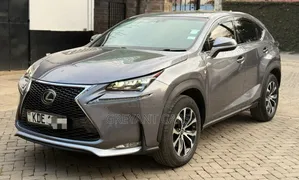 Lexus NX 2014 Gray