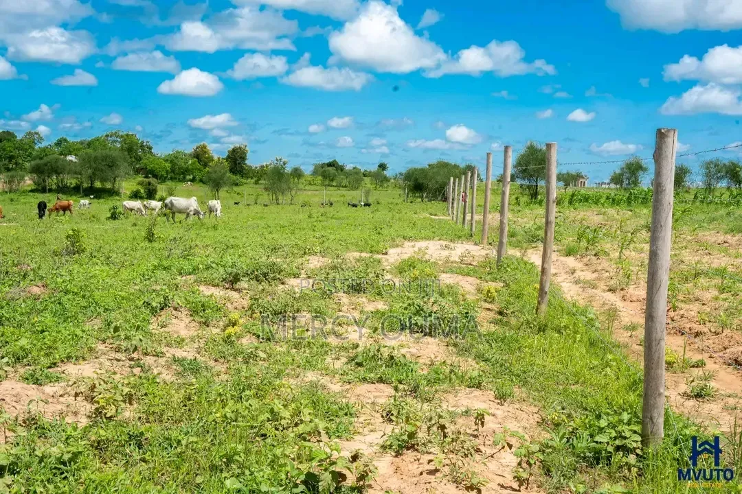 50 By 100 Units For Sale In Mariakani