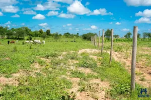 50 By 100 Units For Sale In Mariakani