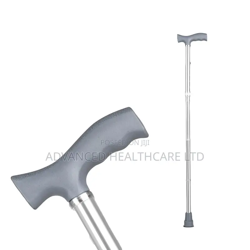 Walking Stick