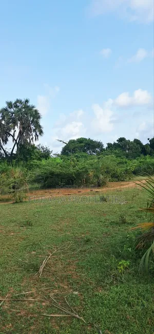 For Sale 6 Acres Land Tiwi South Coast