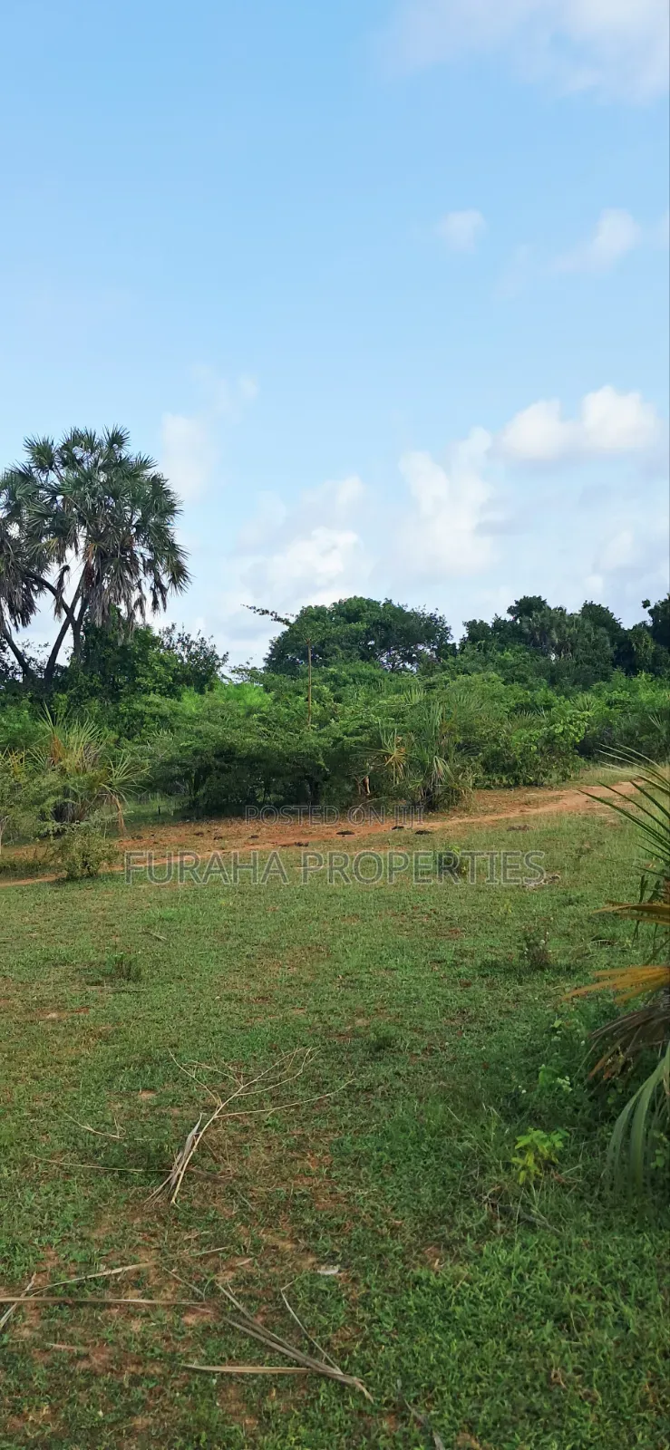 For Sale 6 Acres Land Tiwi South Coast