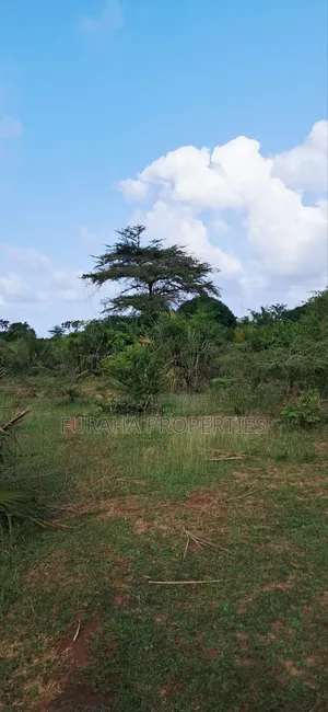 For Sale 6 Acres Land Tiwi South Coast