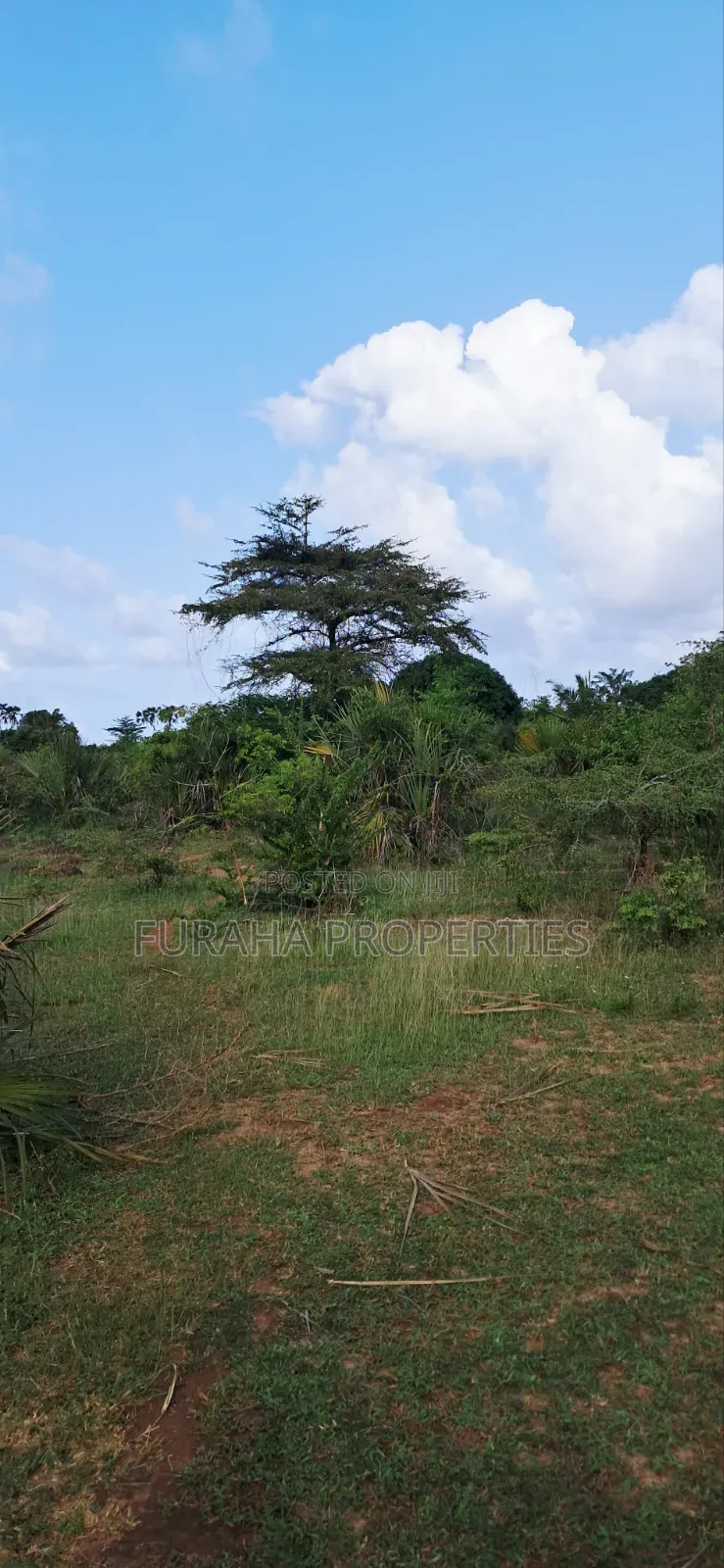 For Sale 6 Acres Land Tiwi South Coast