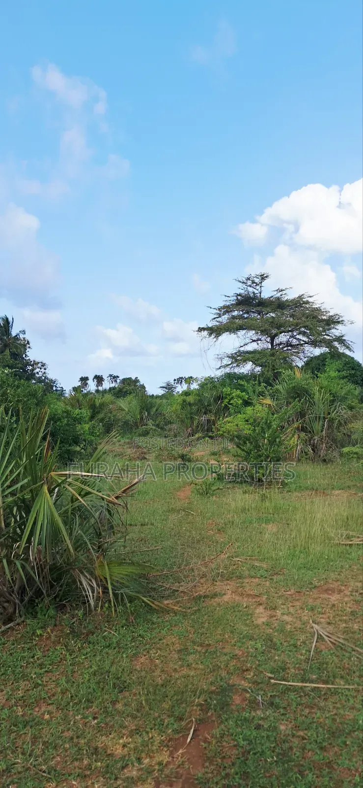 For Sale 6 Acres Land Tiwi South Coast