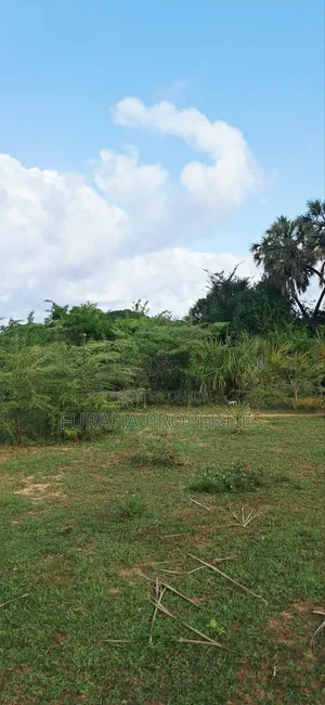 For Sale 6 Acres Land Tiwi South Coast