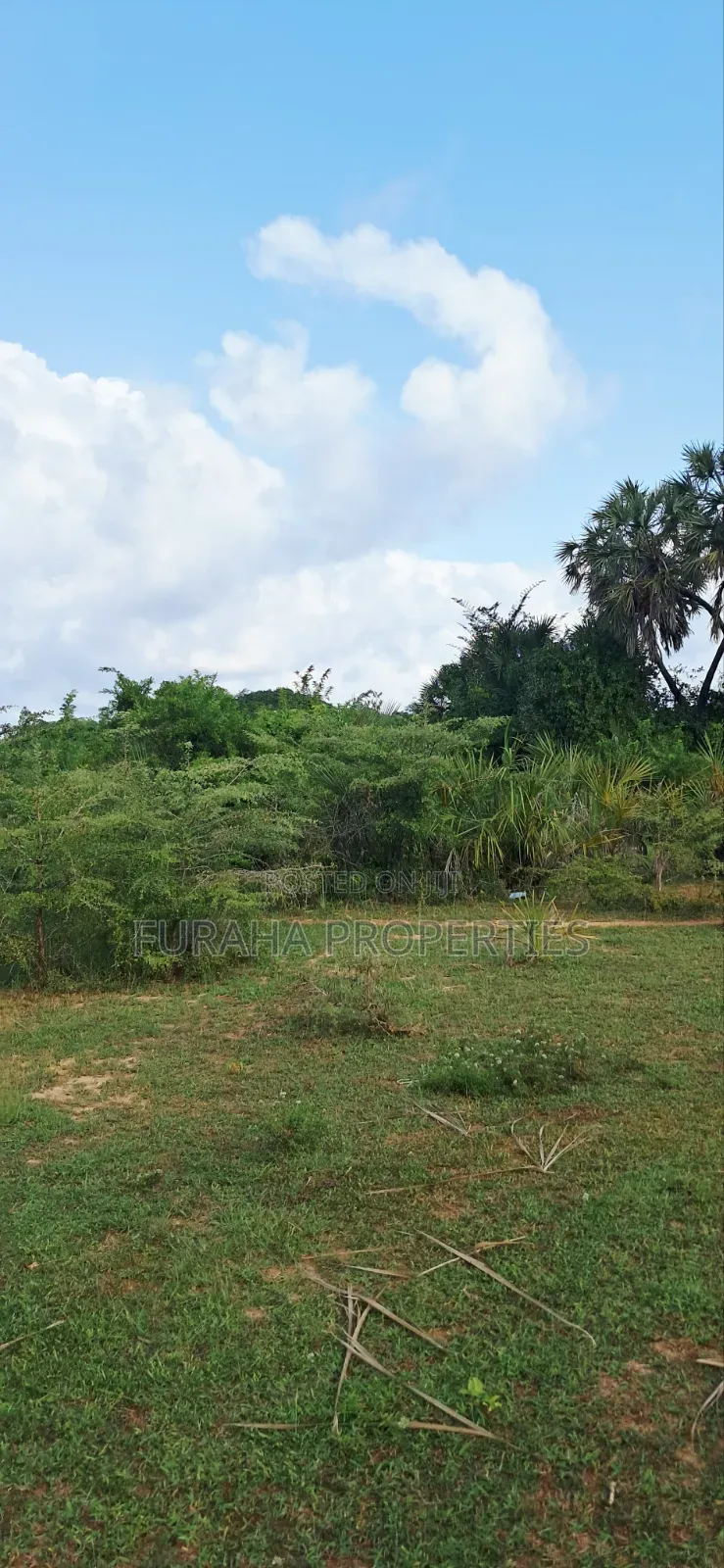 For Sale 6 Acres Land Tiwi South Coast