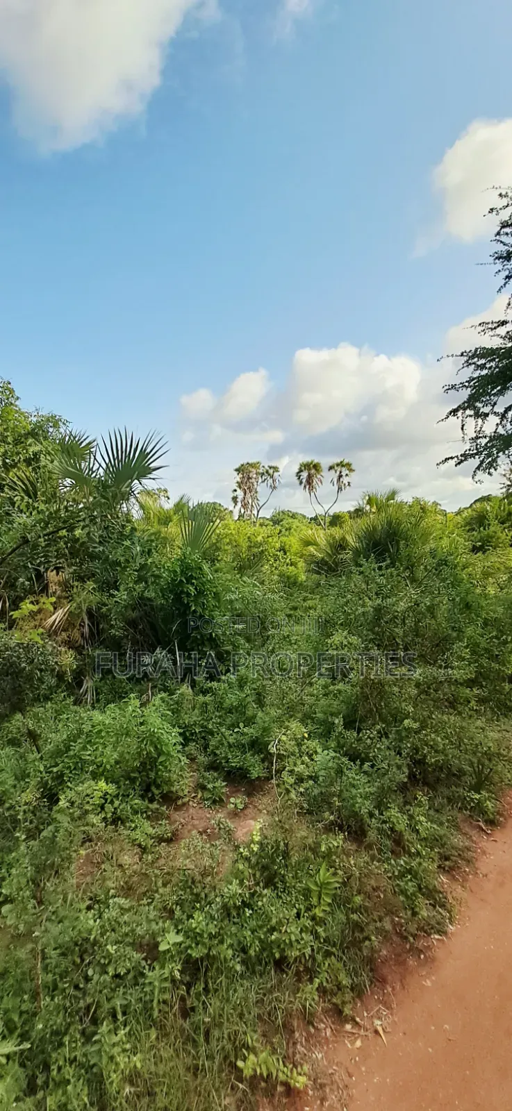 For Sale 6 Acres Land Tiwi South Coast
