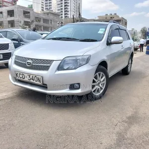 Toyota Corolla Fielder 2008 Silver