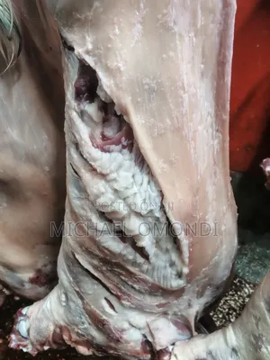 Goat Ribs/Chaps - 620 Per Kg